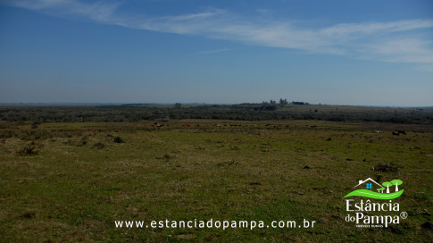 DOS EÓLICOS VIRA P FAZENDA_Moment.00_05_42_21.Quadro540_497815a56c74caed8f3540cabcf63af776d61246.jpg